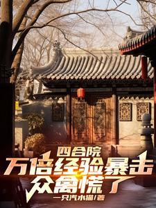 四合院的百万字以上